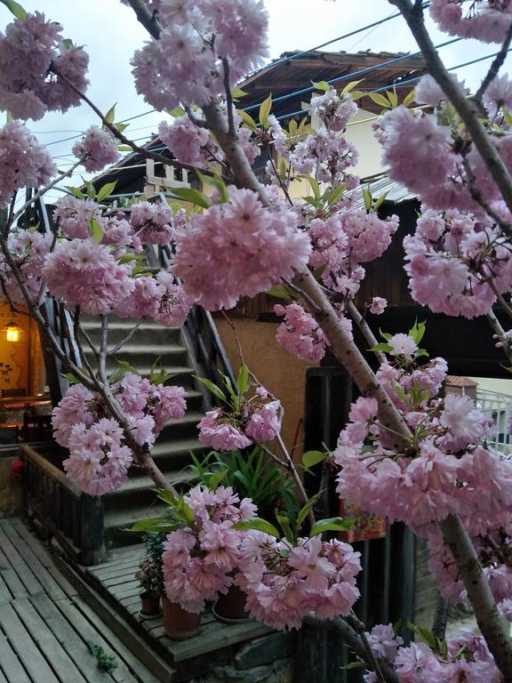 香格里拉天依阁客栈酒店 外观 照片